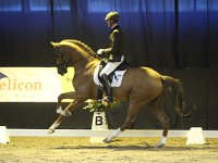 Chagall D-R 201113_1423